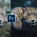 Técnicas de retoque para fotografías de vida silvestre